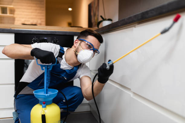 Best Mosquito Control Services  in Kennett, MO