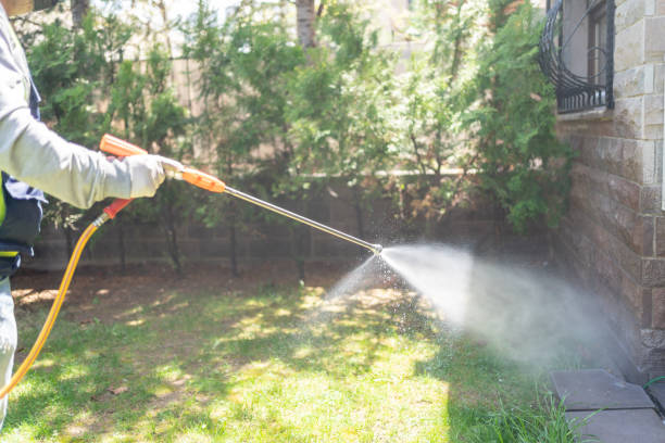 Insect Control in Kennett, MO