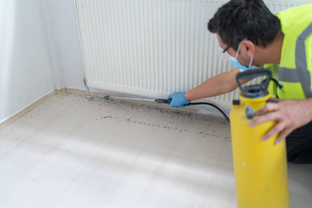 Trusted Kennett, MO Pest Control Experts