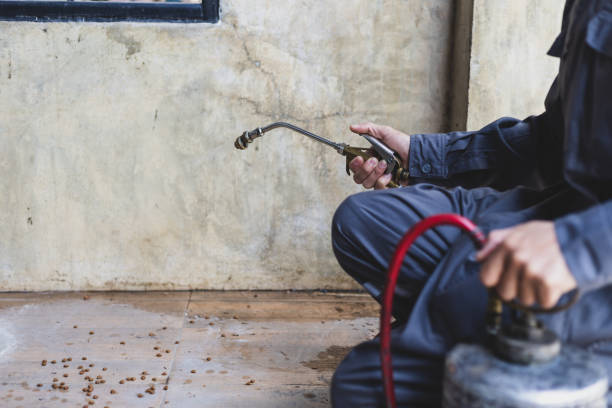 Best Best Pest Control Companies  in Kennett, MO